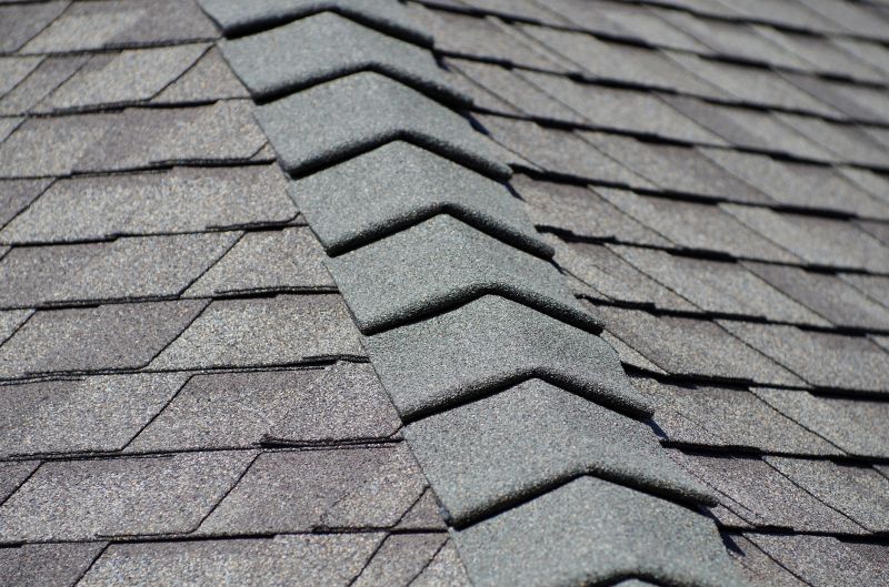 Type of Shingles