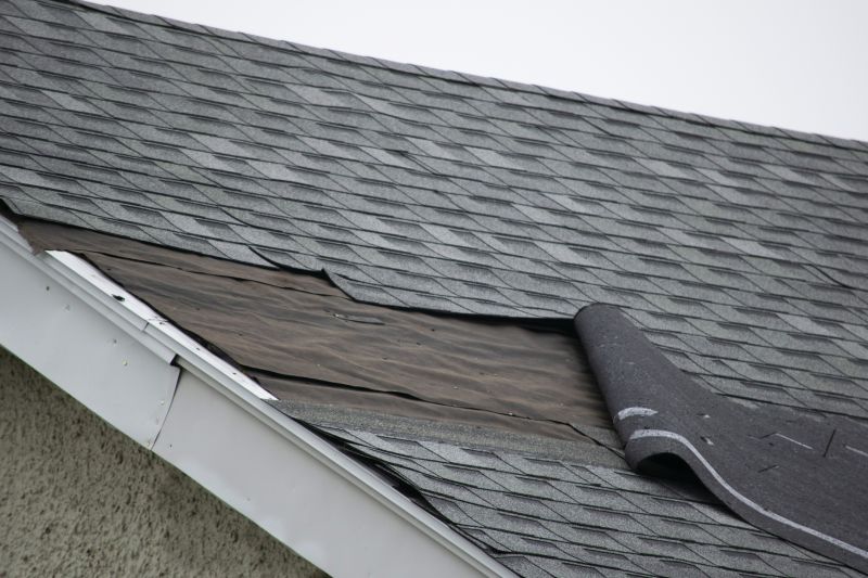 Roof Shingles Repair