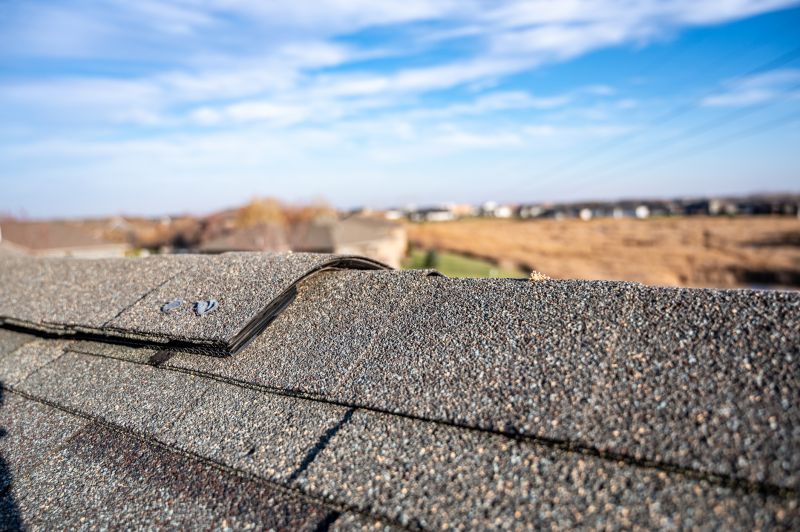 Roof Shingles Repair