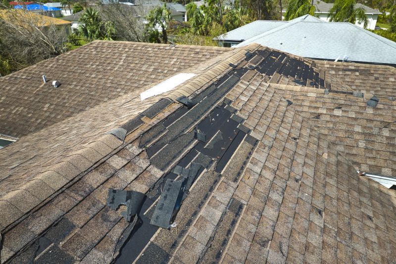 Roof Shingles Repair