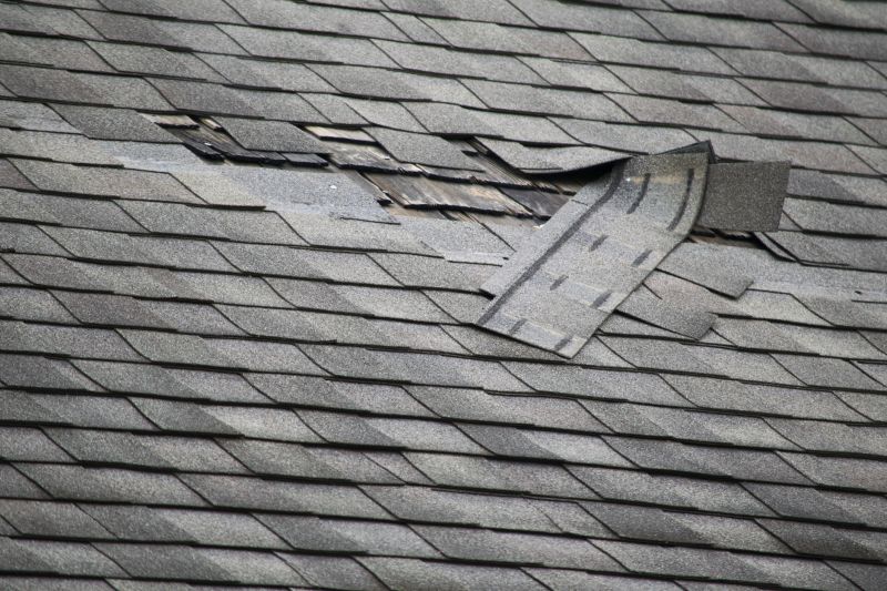 Roof Shingles Repair